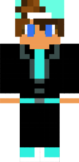 skin