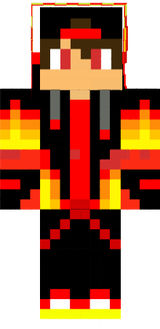 hsgs