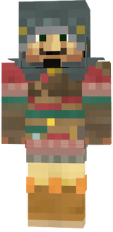 PieriPlolz Botw Tunic