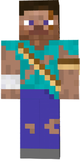 Survivor steve