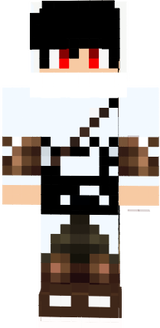 the pro best assasin