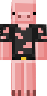 homeless pig