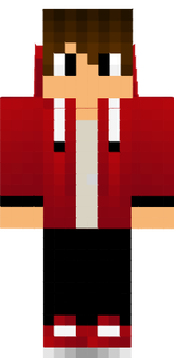 STIN