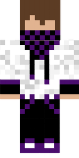 SKINS PARA INTROS DE MINECRAFT