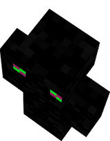 t5