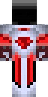 Animation Knight Skin