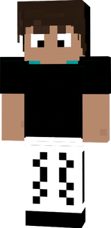 NOtbeggiNERsSKIn