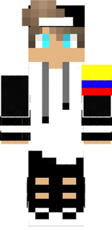 1.Skin