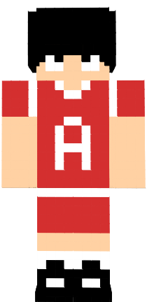 Preview of texture: マイクラあらし