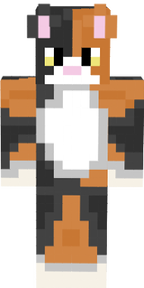 calico boi