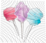 COTTEN CANDY
