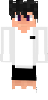 zFlint adidas