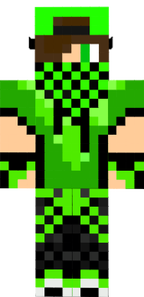 skin