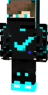 fsdg