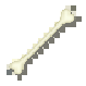 human bone