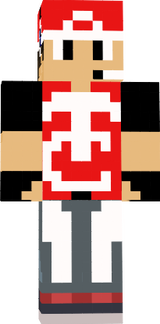 SKIN TREINER PIXELMON