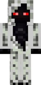 Entity 303