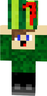 Flexus