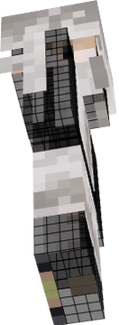 マイクラスキン