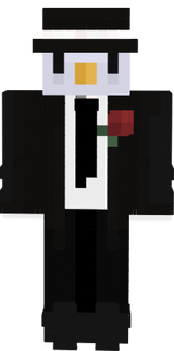 costume pinguini