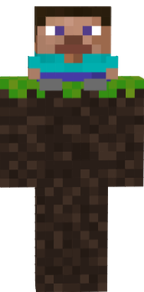Tiny Steve