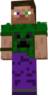 Mr.Steve