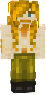 semcamisa
