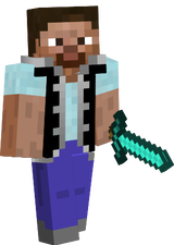 Beginners Steve sans errors