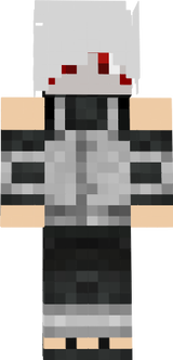 s_k_i_n