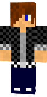 Minecraft skin