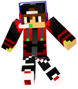 skin