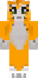 stapy 