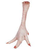 foot