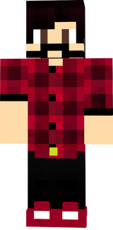 BJ SkinONe