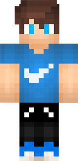 ArcStriderPro Official Skin