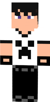 PlayerGamer