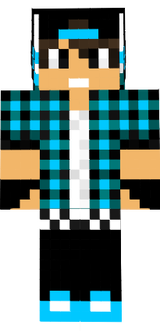 minecraft skim