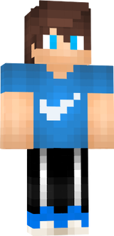 ArcStriderPro Official Skin