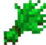 Sea weed