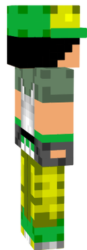 Official Team Fusion Skin #2