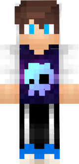 ArcStriderPro Official Skin