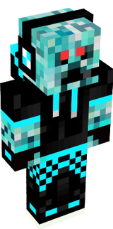 skin