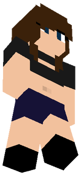 gaaru3