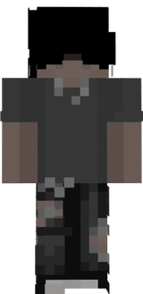 nassv2