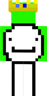 skin 1