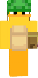 patocxo turtle