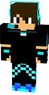 1 skin