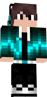 siluze