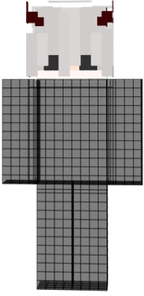 headskin