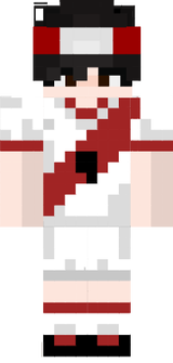 skin steve
